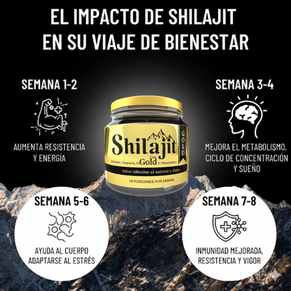 Shilajit Gold Original con Invima